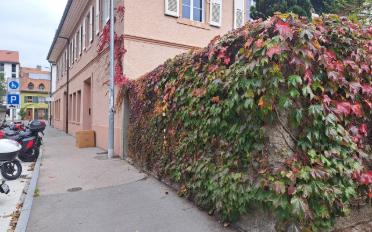 Commercial - image - 11