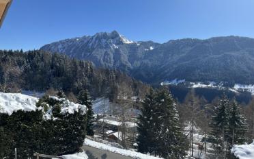 Chalet 5 Zimmer - image - 8