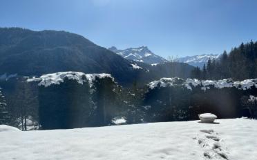 Chalet 5 Zimmer - image - 7