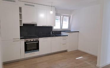 Wohnung 2.5 Zimmer - image - 1