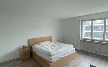 Appartement 3.5 pièces - image - 7