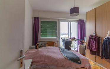 Wohnung 3 Zimmer - image - 6