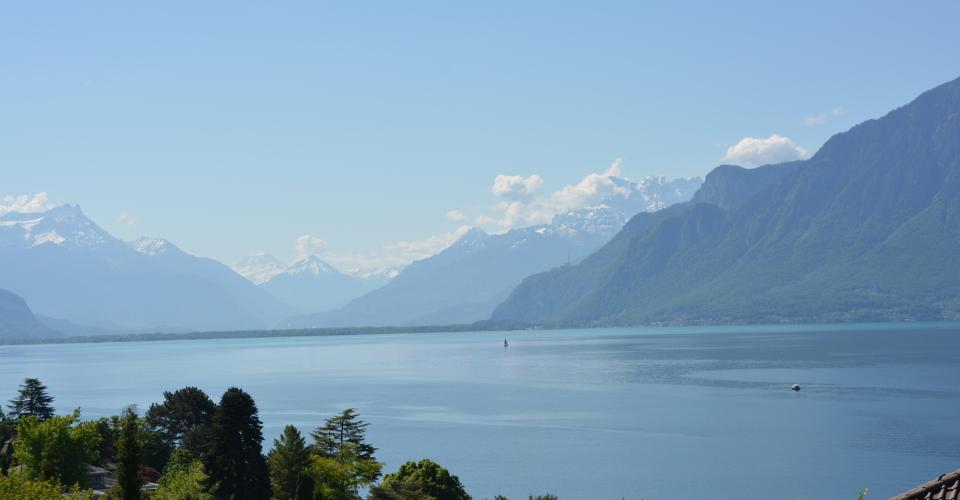 Proche Vevey, nouveau projet de 3 villas de 5.5 pces - vue panoramique