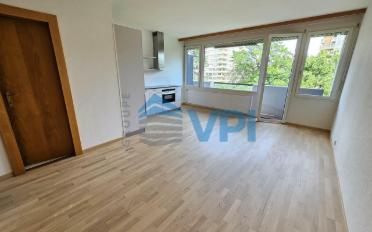 Apartment 1 room - image - 2