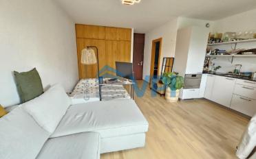 Apartment 1 room - image - 11