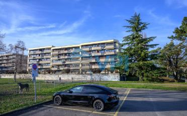 Wohnung 4 Zimmer - image - 9