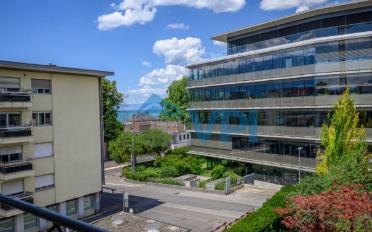 Wohnung 2.5 Zimmer - image - 1