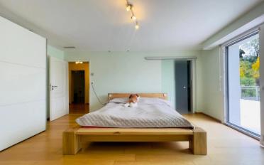 Villa 7 Zimmer - image - 10