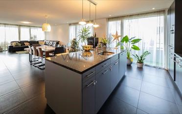 Wohnung 4.5 Zimmer - image - 1