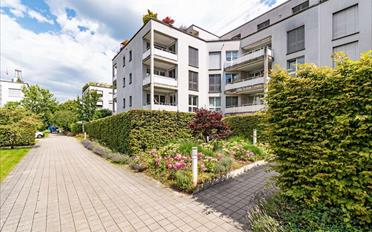 Wohnung 3.5 Zimmer - image - 1