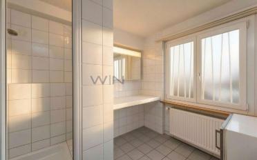 Einfamilienhaus 8 Zimmer - image - 11