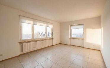 Einfamilienhaus 8 Zimmer - image - 7