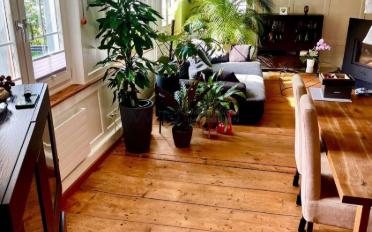 Single house 5.5 rooms - image - 2
