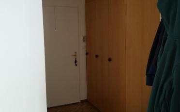 Wohnung 2.5 Zimmer - image - 5