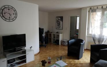 Wohnung 2.5 Zimmer - image - 1