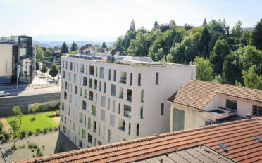 Wohnung 3.5 Zimmer - image - 3