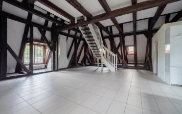 Wohnung 2.5 Zimmer - image - 3