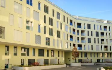 Wohnung 3.5 Zimmer - image - 2