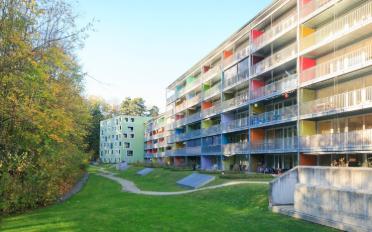 Apartment 2.5 rooms - image - 4