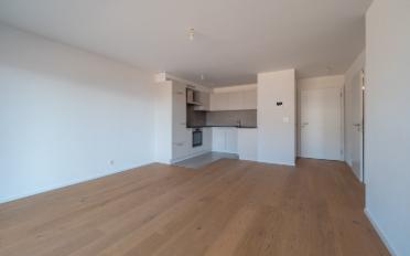 Wohnung 2.5 Zimmer - image - 9