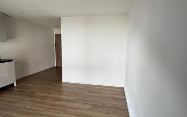 Wohnung 2.5 Zimmer - image - 5
