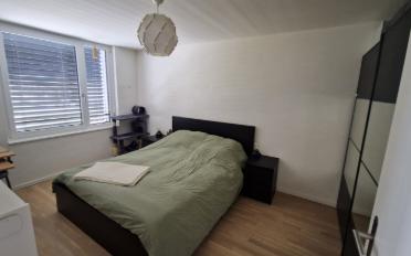 Wohnung 2.5 Zimmer - image - 5