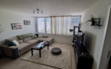 Wohnung 2.5 Zimmer - image - 4