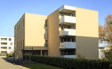 Wohnung 2.5 Zimmer - image - 5