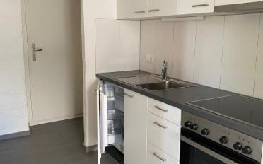 Wohnung 1.5 Zimmer - image - 2