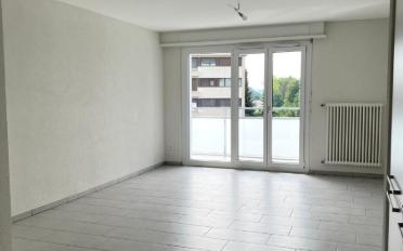 Wohnung 2.5 Zimmer - image - 5