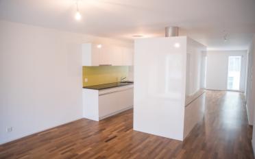 Apartment 2.5 rooms - image - 6