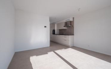 Wohnung 1.5 Zimmer - image - 6