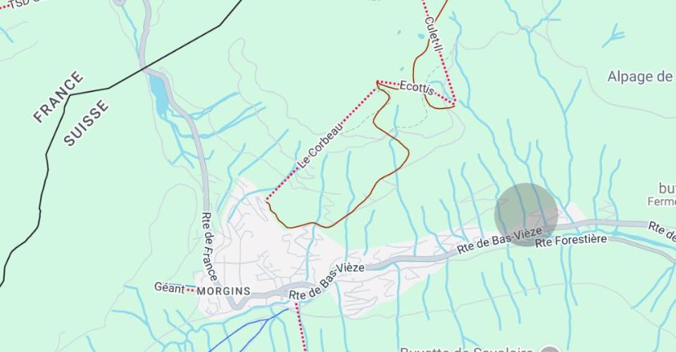 Morgins