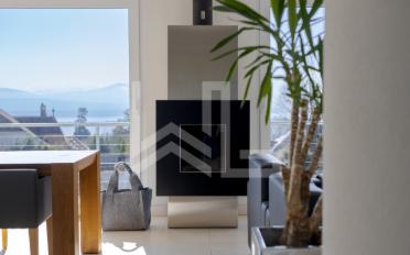 Terrassenwohnung 13.5 Zimmer - image - 7