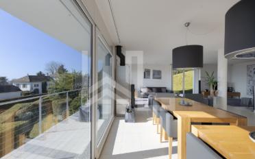 Terrassenwohnung 13.5 Zimmer - image - 5