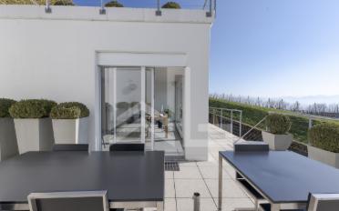 Terrassenwohnung 13.5 Zimmer - image - 8