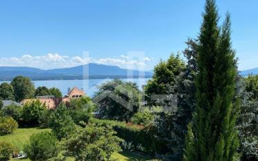 Einfamilienhaus - image - 1