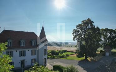 Single house 7 rooms - image - 2