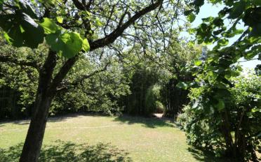 Wohnung 6.5 Zimmer - image - 11