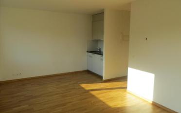 Wohnung ein Zimmer - image - 2