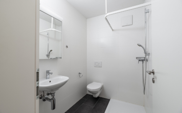 Apartment 2.5 rooms - image - 6