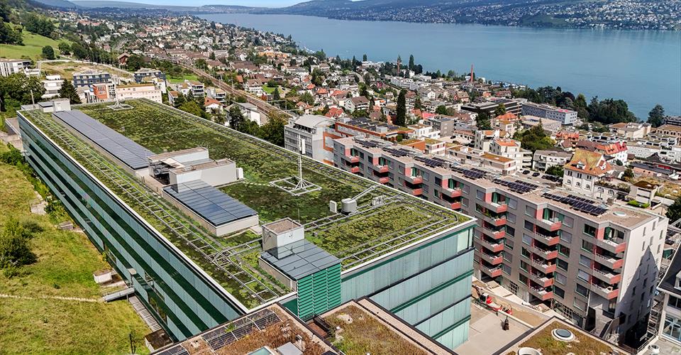Horgen