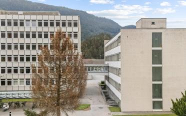 Büro - image - 1