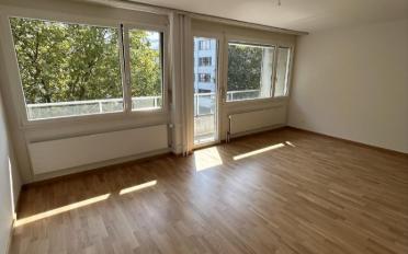 Wohnung ein Zimmer - image - 2