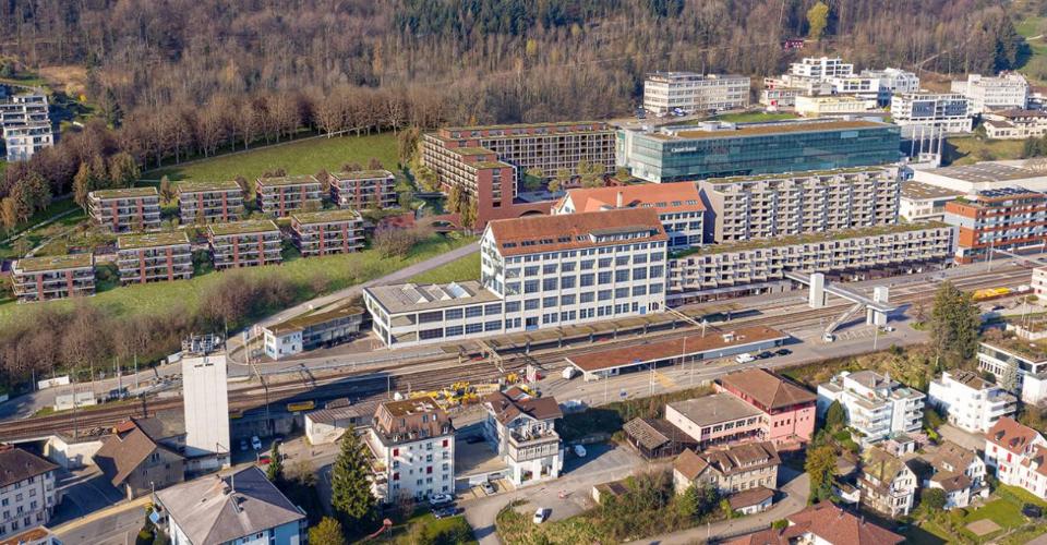 Horgen