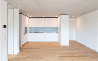 Wohnung 2.5 Zimmer - image - 1