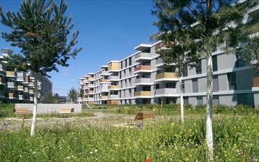 Wohnung 3.5 Zimmer - image - 1