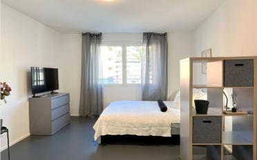 Apartment 2.5 rooms - image - 5