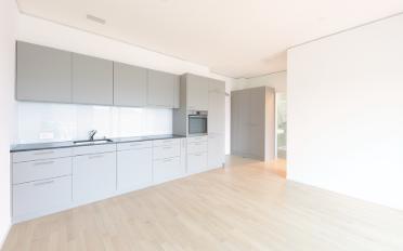Wohnung 2.5 Zimmer - image - 3