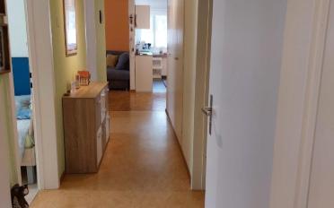 Wohnung 3.5 Zimmer - image - 8